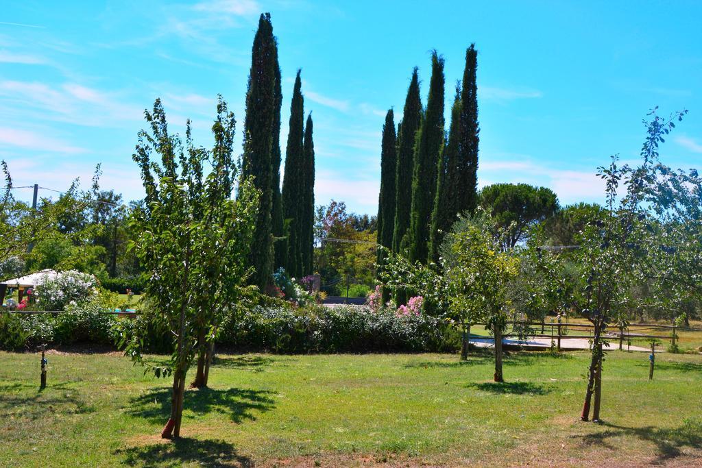 Agriturismo L'Aquilone Magliano in Toscana Exterior photo